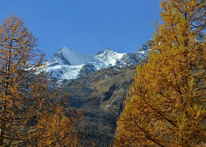 Haus Bergtreu *
