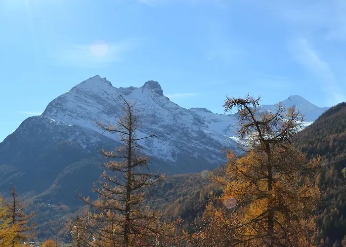 Haus Bergtreu Διαμέρισμα