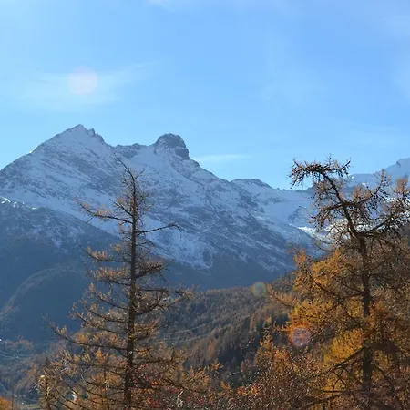 Haus Bergtreu Apartamento